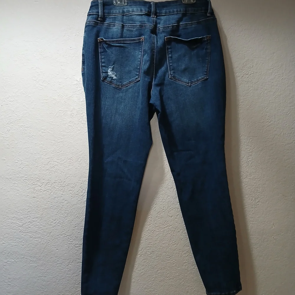 Zara Blue Skinny Jeans with Red Floral Embroidery - Picture 8 of 8